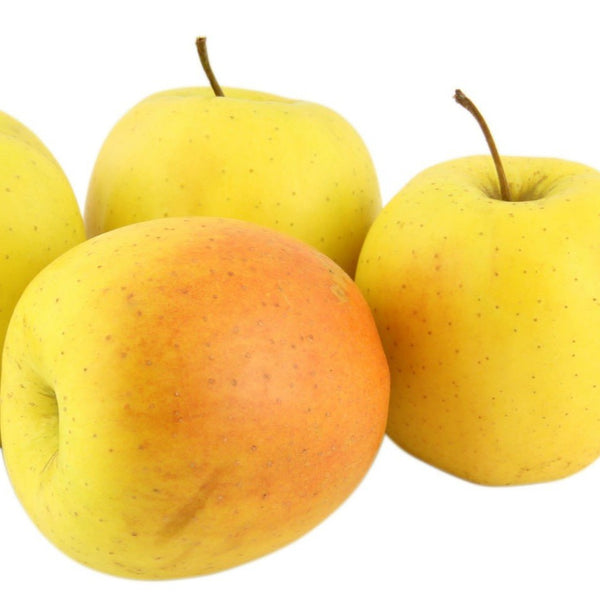 Time-limited Specials Golden Delicious Apple Tree, golden apple