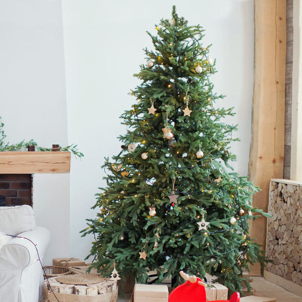 Fresh Cut Christmas Tree Delivered - Fraser Fir | PlantingTree ...