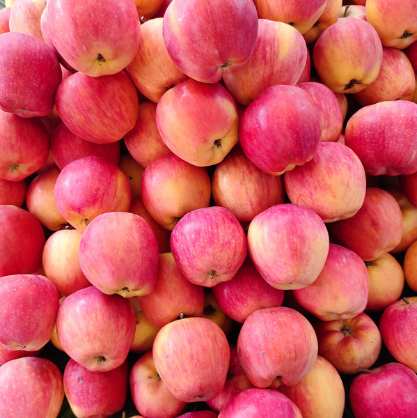 Pink Lady Apples from The Fruit Company